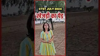 खेजड़ी का पेड़ #ctet2024 #ctetevsnotes #ctetevspreparation #ctetjuly2024 #ctetevs2024 #mannu_rathee