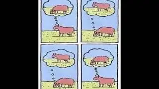 Chill and Relaxing video to think about meaning of life