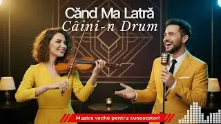 MELODII DE DRUM LUNG 🍷: Un Jazz Românesc perfect pentru serile târzii și melancolice 🌙