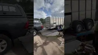 Another load in #iforwilliams #trailer #delivery