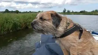 Geldeston Boating