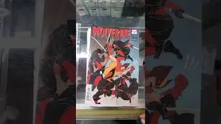Weekly Comic Pull