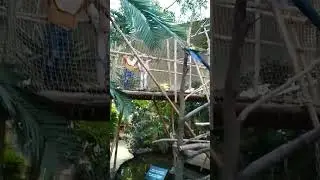 papagaai birds Centerparcs