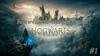 Hogwarts Legacy #Прохождение 1 Безумный гоблин и его дракон