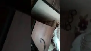 Обзор ультралайтового спининга Флагман сенсор ( 1 часьть)