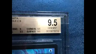 Graded MTG Cards : What I'm Buying! Grading MTG Cards MTGFinance
