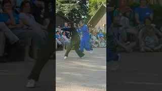Tai Chi Caledonia 2018