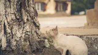 Махачкала 2013 ML Raw test на Canon 5D Mark 3
