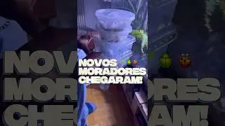 &ldquo;Novos is&oacute;podes para cole&ccedil;&atilde;o!