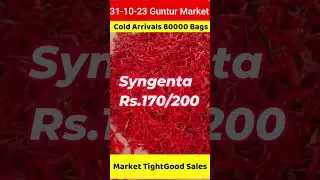 guntur mirchi rate | guntur chilli price #guntur #gunturchilli