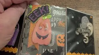 Project Share/Halloween Mini Pocketletter