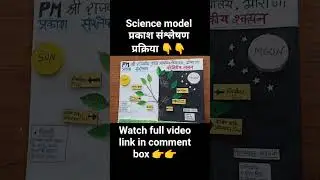 science model|| photosynthesis process|| reaction|| working model #trending #scienceexperiment