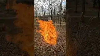 Back up terry! #fire #nativegrass #burn #burning #fireplace #gopro