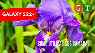 Cómo usar las cámaras del S22+ (Camera tour)