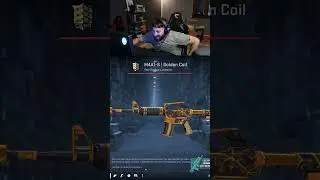 Golden Coil M4 Unboxing! (c: xdardi)
