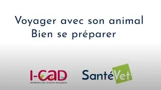 I-CAD / Voyager avec son animal, chien ou chat, bien se pr&eacute;parer