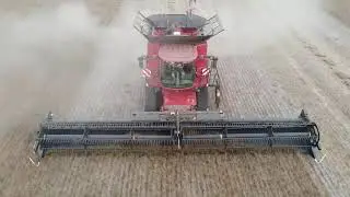 Case 9250 and Mac Don FD140 Flex Draper Harvesting Linseed 2020