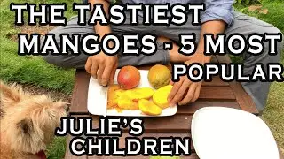 The Large Family of Julie Mango: Sophie Frey, Taralay, Juliette, Super Julie + Surprise Sibling