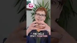 What Is Invasive Ductal Carcinoma Breast Cancer (IDC)? #breastcancer