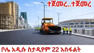 ADDIS ABABA 2.0: The Unbelievable 2026 Transformation of Ethiopia&rsquo;s Most ICONIC Street (4K)