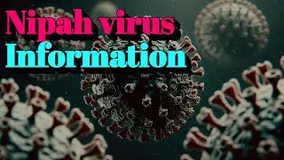 Nipah virus Information (🔬Other infectious diseases)
