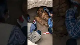 University of San Marcos have unearthed a mummy in Peru estimated to be 800 to 1,200 years old.