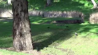 Hidden Secrets - Dead Man's Pass - Gawler