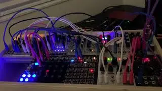 Mutable instruments rings