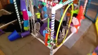 Avidog Adventure Box