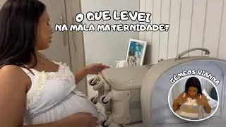 O QUE LEVEI NA MALA MATERNIDADE DOS GÊMEOS? | Gêmeos Vianna
