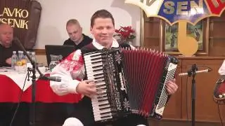 Dejan Arcet - V Švicarskih Alpah (Im Schweizer Hochland)
