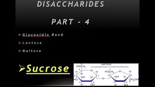 Sucrose || Table Sugar || Disaccharides Part-4 : Sucrose Structure and Functions