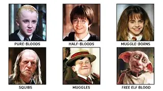 Every Type of BLOODLINE in Harry Potter EXPLAINED in Detail