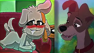 Bella reacts to other dogs (4K)