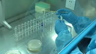 Every Onuge Teeth Whitening Strip Is Rigorously Tested