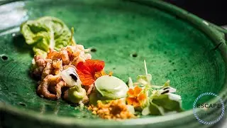 Best Culinary Destinations