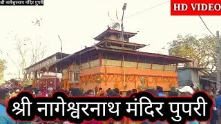 Nageshwar Nath Mandir Pupri | नागेश्वर नाथ मंदिर पुपरी | HD VIDEO #pupri #sitamarhi | PupriOfficial