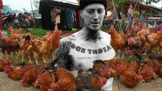 I feed my chickens watermelon from the garden! Look what came out of it