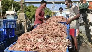 REDUCED THE ANNUAL FISHING BAN 61 DAYS TO 47&nbsp;in GOA