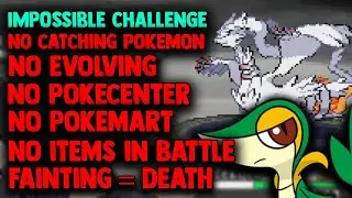 Can I Beat Pokemon WHITE Using IMPOSSIBLE RULES? (Impossible Challenge)