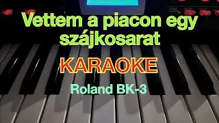 Vettem a piacon egy sz&aacute;jkosarat (KARAOKE+AKKORDOK) - Roland BK-3