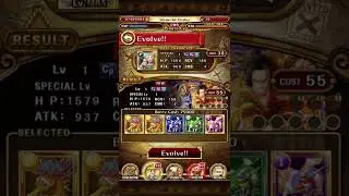 Ace & Sabo Evolve (OPTC)
