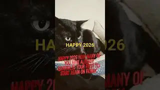 Purr-fect Start to 2026 #catsofyoutube #catsshorts#cat #kitten #catlovers