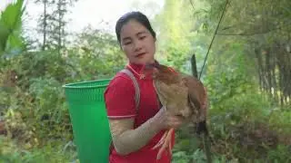 Harvesting A Lot Of Chickens on Tree, Duck Eggs - Bring them to countryside market to sell