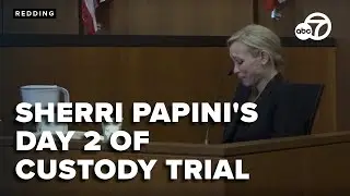 Sherri Papini's custody trial continues as she faces tough questions about her past