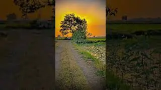 nature #view#naturelover#sunset#success#goal#life#aceivment#focus#youtube#music#relax