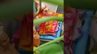 simple peacock kolam#yt #homedecor #traditinal #youtubeshorts #Menas home#Friday routine #muggulu.