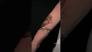 совунья 🦉 #tattoo #тату #tattoodesigns #tattoos #татуировка #tattooideas #спбтату #tattooartist