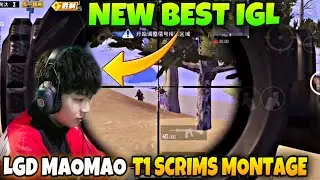 PEL Best IGL LGD MaoMao T1 Scrims Montage | LGD MaoMao Gameplay | LGD MaoMao pubg | LGD MaoMao |