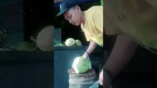 #kelapa #fypシ゚viral #kelapaindonesia #kelapakembar #kupaskelapa